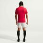 Nike M Nk Df Park Viii Jsy Ss - university red/white