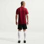 Nike M Nk Df Park Viii Jsy Ss - team red/white