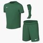 Nike Lk Nk Df Park Viii Kit - pine green/white