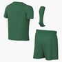 Nike Lk Nk Df Park Viii Kit - pine green/white