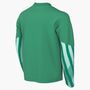 Nike Y Nk Df Park V Gk Jsy Ls - stadium green/white