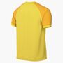 Nike M Nk Df Trophy Vi Jsy Ss - tour yellow/university gold/black
