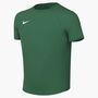 Nike Y Nk Df Park Viii Jsy Ss - pine green/white