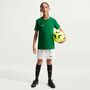 Nike Y Kinder Nk Df Park Viii Jsy Ss - pine green/white