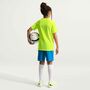 Nike Y Kinder Nk Df Park Viii Jsy Ss - volt/black