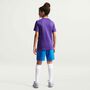 Nike Y Kinder Nk Df Park Viii Jsy Ss - court purple/white