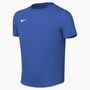 Nike Y Nk Df Park Viii Jsy Ss - royal blue/white