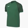 Nike Y Nk Df Trophy Vi Jsy Ss - pine green/gorge green/white