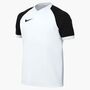 Nike Y Nk Df Trophy Vi Jsy Ss - white/black/black