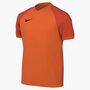 Nike Y Nk Df Trophy Vi Jsy Ss - safety orange/team orange/black