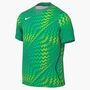 Nike M Nk Df Gardien Vi Gk Jsy Ss - stadium green/white