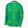 Nike M Nk Df Gardien Vi Gk Jsy Ls - stadium green/white