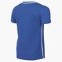 Nike Y Nk Df Park26 Ss Top - royal blue/white/white