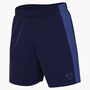 Nike M Nk Df Acd+ Short Gx Hbr - blue void/game royal/white
