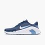 Nike Nike Flex Train - diffused blue/white-work blue
