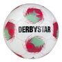 Derby Star Tempo APS v25 - weiss rot gruen