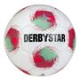 Derby Star Tempo APS v25 - weiss rot gruen