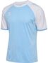 Hummel hmlMATCH League Jersey S/s - Argentina Blue/white