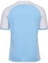 Hummel hmlMATCH League Jersey S/s - Argentina Blue/white