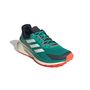 adidas Terrex Soulstride Flow - purtea/owhite/seimor