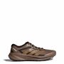 adidas Terrex Agravic Lt - earstr/brooxi/auco