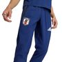 adidas Jfa Tt Pnt - dkblue