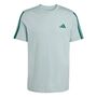 adidas M 3S Sj T - wosa/cgreen