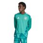adidas Dfb H Gk Jsy Au - actgrn