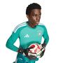 adidas Dfb H Gk Jsy Au - actgrn