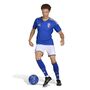 adidas Figc H Jsy Au - boblue