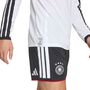 adidas Dfb H Jsy L - white