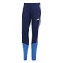 adidas Tiro26C Pntw - tenabl/rayblu