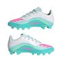 adidas F50 Messi Club Fg/Mg J - ftwwht/lucpnk/flaaqu