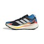 adidas Terrex Agravic Gtx - cblack/ftwwht/rayblu