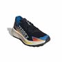 adidas Terrex Agravic Gtx - cblack/ftwwht/rayblu