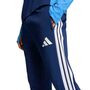adidas Tiro26C Pnt - tenabl/rayblu