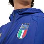 adidas Figc Tt Fz Wb - vicblu