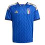 adidas Figc H Jsy Y - boblue