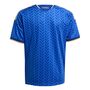 adidas Figc H Jsy Y - boblue