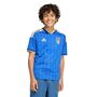 adidas Figc H Jsy Y - boblue