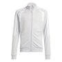 adidas Tiro26L Tr Jkty - tmlggr/white