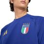 adidas Figc Tt Tee - vicblu