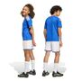 adidas Figc H Jsy Fany - boblue