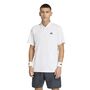 adidas Club Graph Polo - white