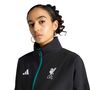 adidas Lfc Anth Jktw - black