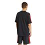 adidas Rbfa Dna Tee - black