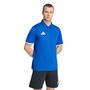 adidas Ent26 Polo - royblu/white