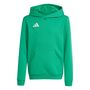 adidas Entrada 26 Hoody Y Kinder - white/black