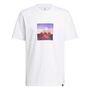 adidas M Photorl Crt T - white