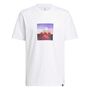 adidas M Photorl Crt T - white